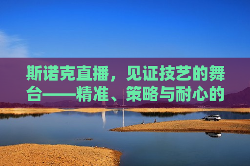 斯诺克直播，见证技艺的舞台——精准、策略与耐心的较量，斯诺克直播，技艺的舞台，精准、策略与耐心的巅峰对决，斯诺克直播，技艺的舞台，巅峰对决见证精准、策略与耐心  第1张