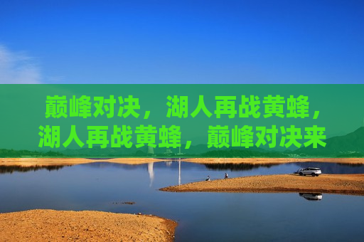 巅峰对决，湖人再战黄蜂，湖人再战黄蜂，巅峰对决来袭，湖人再战黄蜂，巅峰对决再次上演  第1张