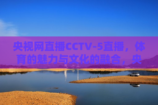 央视网直播CCTV-5直播，体育的魅力与文化的融合，央视网直播CCTV-5揭秘，体育魅力与文化的完美融合，央视网与CCTV-5揭秘，体育魅力与文化的完美融合