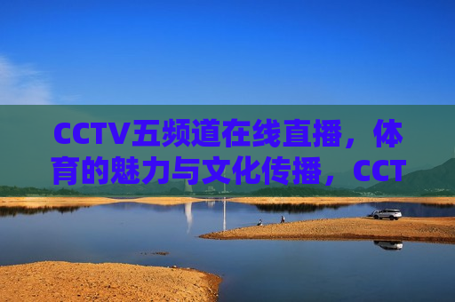 CCTV五频道在线直播，体育的魅力与文化传播，CCTV五频道直播，体育魅力与文化传播同步展现，CCTV五频道直播，体育魅力与文化传播的同步展现