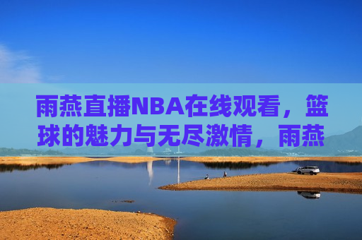 雨燕直播NBA在线观看，篮球的魅力与无尽激情，雨燕直播NBA，篮球激情点燃心灵，雨燕直播NBA，篮球激情点燃心灵  第1张