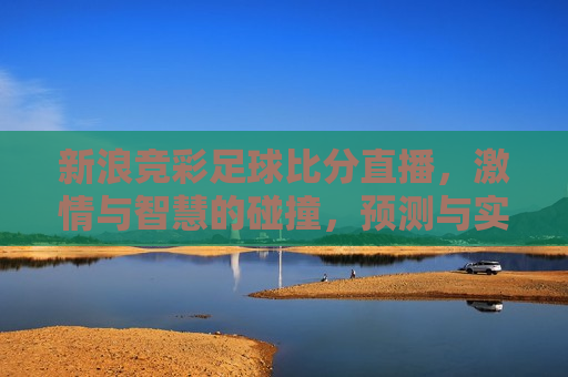 新浪竞彩足球比分直播，激情与智慧的碰撞，预测与实况的交汇，新浪竞彩足球比分直播，预测与实况的交汇，新浪竞彩足球比分直播，预测与实况的激情碰撞  第1张