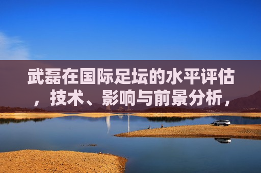 武磊在国际足坛的水平评估，技术、影响与前景分析，武磊国际足坛之旅，技术、影响与前景展望，武磊国际足坛之旅，技术、影响与前景分析  第1张