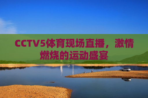 CCTV5体育现场直播，激情燃烧的运动盛宴