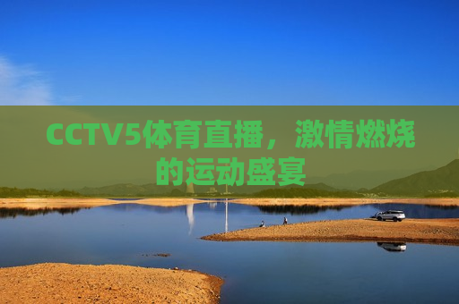 CCTV5体育直播，激情燃烧的运动盛宴