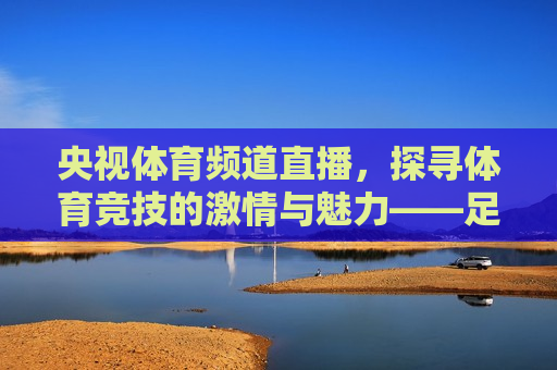 央视体育频道直播，探寻体育竞技的激情与魅力——足球、篮球、乒乓球等多项目精彩呈现，央视体育频道直播盛宴，多项目竞技激情呈现，央视体育频道直播盛宴，探寻多项体育竞技激情与魅力