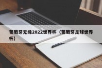 葡萄牙无缘2022世界杯（葡萄牙足球世界杯）