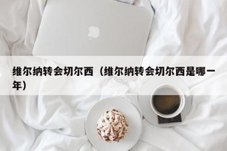 维尔纳转会切尔西（维尔纳转会切尔西是哪一年）