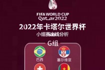 2022年世界杯在卡塔尔举行(2022年世界杯在卡塔尔举行每队有几人)