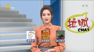 山东齐鲁频道在线直播(山东齐鲁频道在线直播高清手机版)