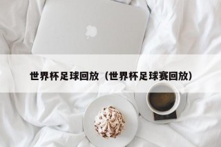 世界杯足球回放（世界杯足球赛回放）