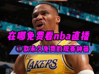 nba在哪里看免费回放(nba回放全场录像高清软件)