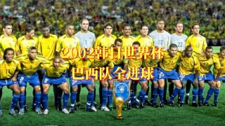 2002年世界杯冠军(2002年世界杯冠军巴西队成员)