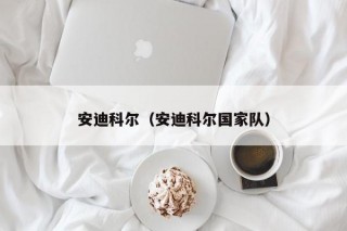 安迪科尔（安迪科尔国家队）