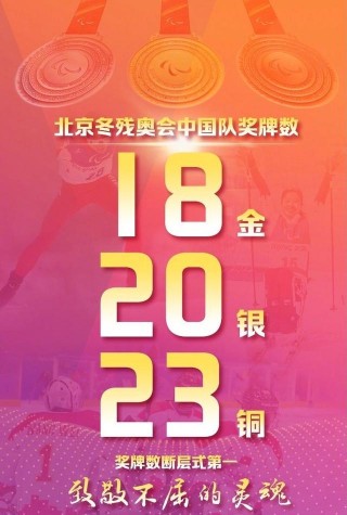 中国队8天狂揽200枚奖牌(中国队8天狂揽200枚奖牌视频)