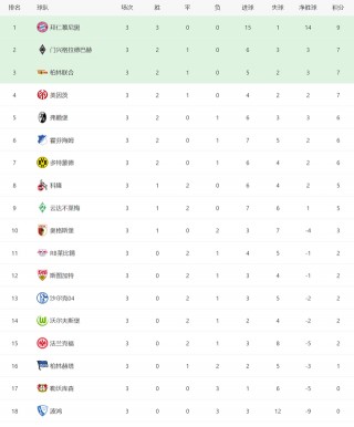 欧洲五大联赛最新积分榜(2020欧洲五大联赛积分榜八强)