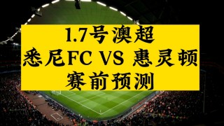 悉尼fc对惠灵顿比分(悉尼fc对惠灵顿凤凰分析)