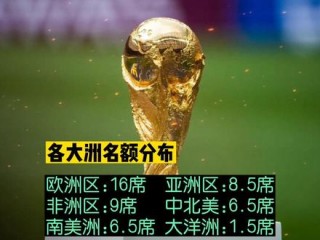 关于2022世界杯已经确定名额的信息