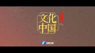 河南卫视(河南卫视武林风直播)