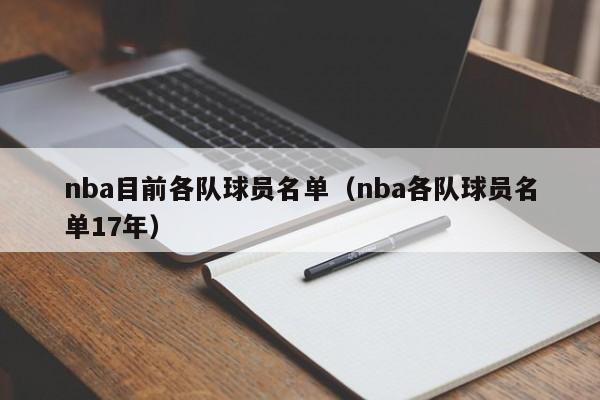 nba目前各队球员名单（nba各队球员名单17年）  第1张