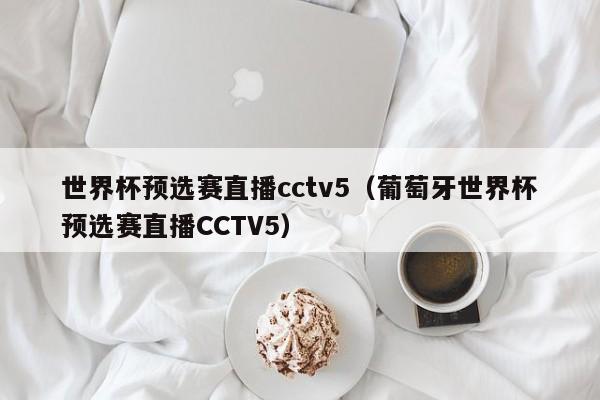 世界杯预选赛直播cctv5（葡萄牙世界杯预选赛直播CCTV5）  第1张