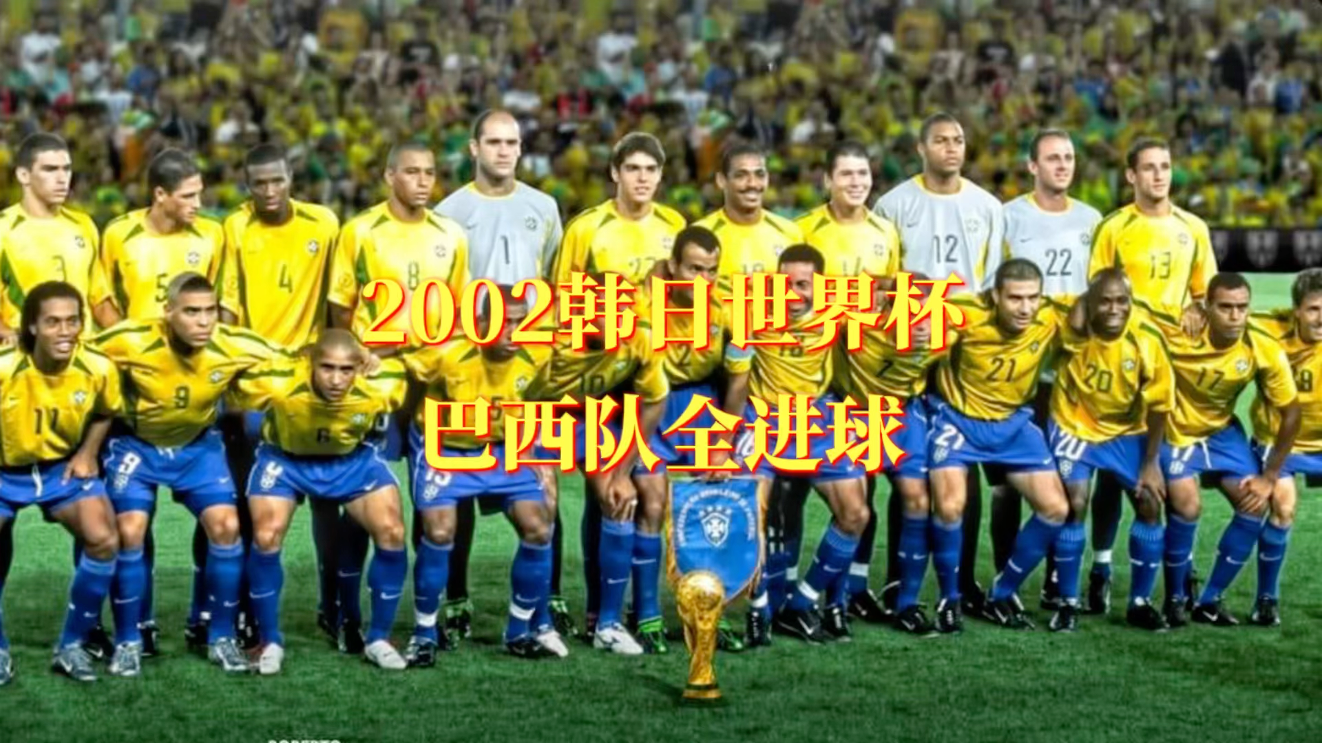 2002年世界杯冠军(2002年世界杯冠军巴西队成员)  第2张