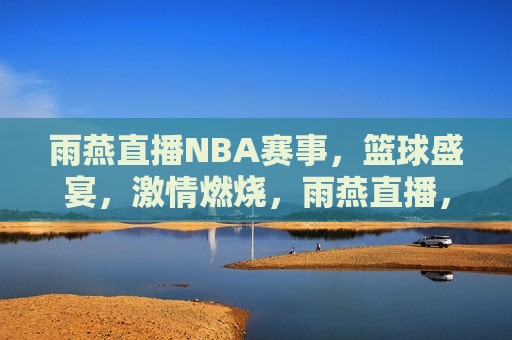 雨燕直播NBA赛事，篮球盛宴，激情燃烧，雨燕直播，篮球盛宴，激情燃烧，雨燕直播，篮球盛宴，激情燃烧