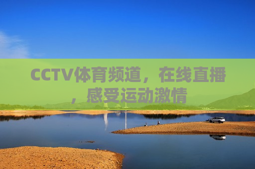 CCTV体育频道，在线直播，感受运动激情