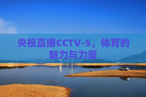 央视直播CCTV-5，体育的魅力与力量