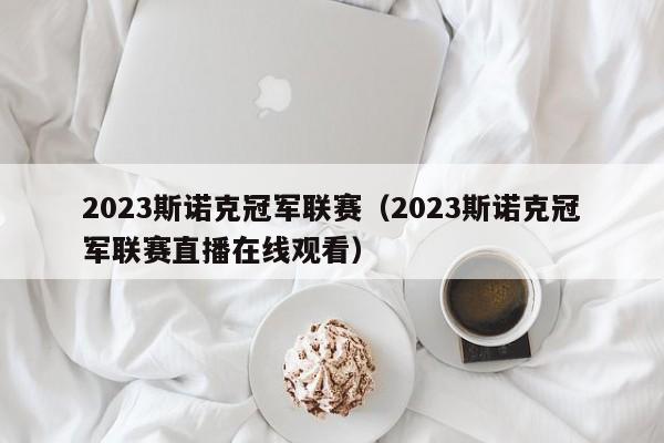 2023斯诺克冠军联赛（2023斯诺克冠军联赛直播在线观看）  第1张